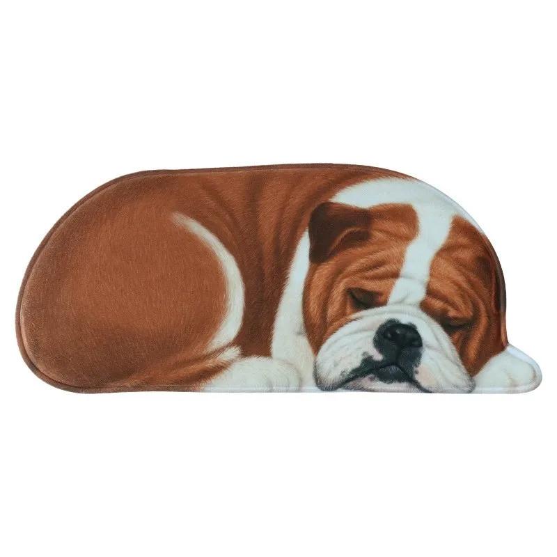Floor Mats, Non-slip Mats, Entrance Door Bathroom Absorbent Toilet 3D Puppy Animal Bedroom Bedside Blanket Living Room