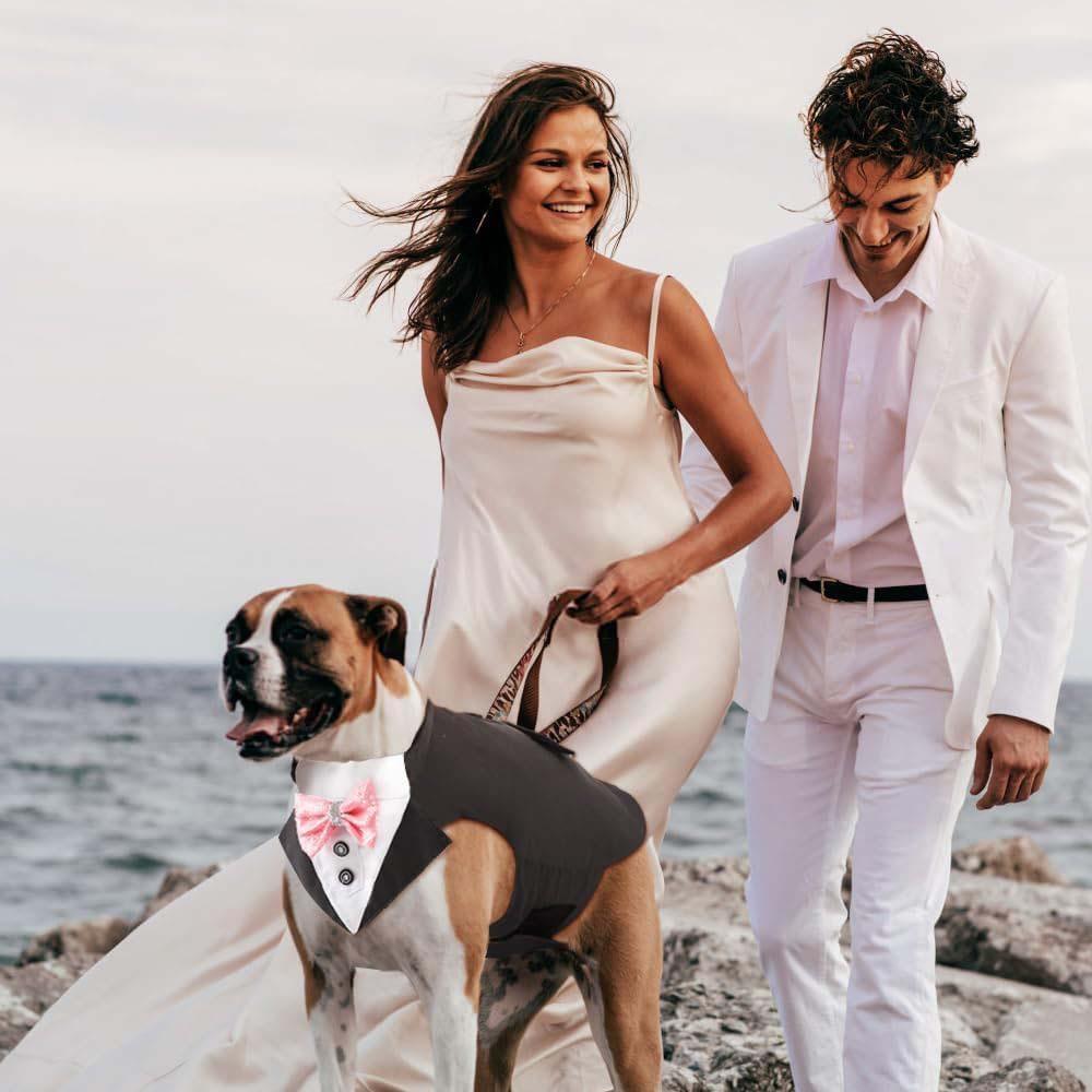 Pet Tuxedo Outfit with Matching Collar Ready Stock Dog Formal Wear Party Costume Premium Pet Clothes
