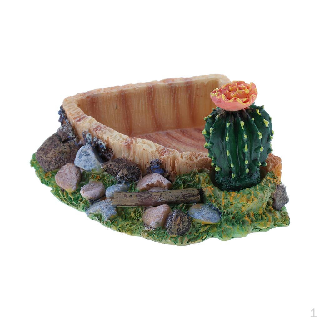 

Food Dish Water Bowl Feeder Basin for Amphibians 1