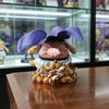 Anime Dragon Ball Z Majin Buu Figure Action Figures Kids Buu Vs Fat Buu Pvc Action Figures Collection Model Toy Gifts