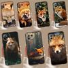 Cute Fox In Autumn Case For POCO X3 X5 X6 M6 Pro F6 F3 F5 M5s Xiaomi 14 13 Ultra 12 Lite 11T 12T 13T Pro Cover