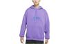 Nike Sweatshirts Unisex Active Grape Purple Hooded Moderate Regular DR1039-542