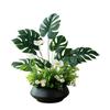 Premium Artificial Green Plants for Home Decor – Perfect for Living Room, Dining Table, TV Stand, or Entryway