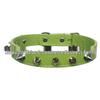 Multi-Color PU Leather Dog Collar & Leash - In Stock