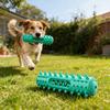 Köpek – Köpek oyuncakları