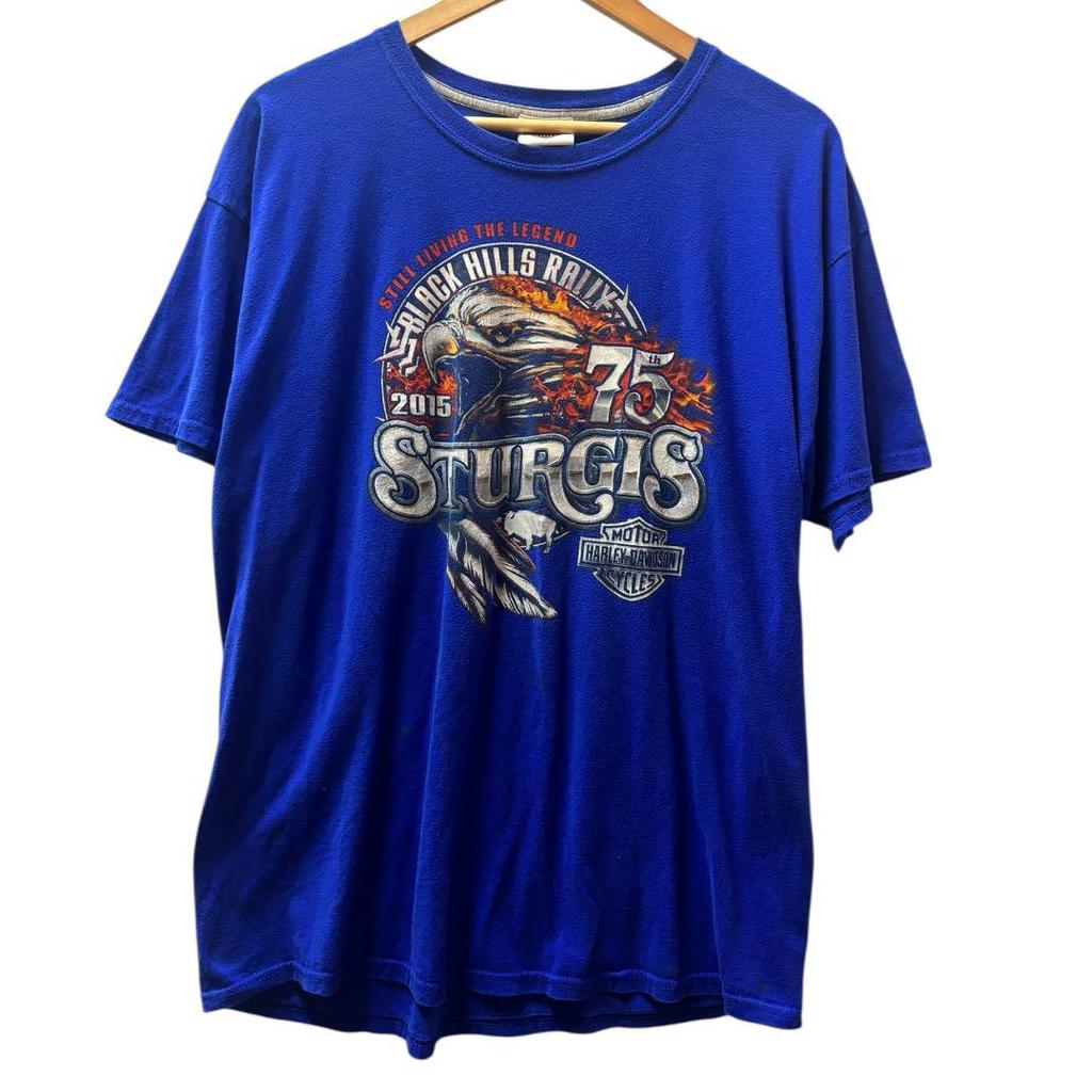 [USED] Vintage Harley-Davidson Eagle T-shirt, blue.