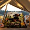 1pc Dachshund, Flower Field Print Outdoor Blanket, Lightweight Polyester,