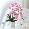 Artificial Phalaenopsis Floral Arrangement for Living Room Display - Potted Decoration for TV Cabinet