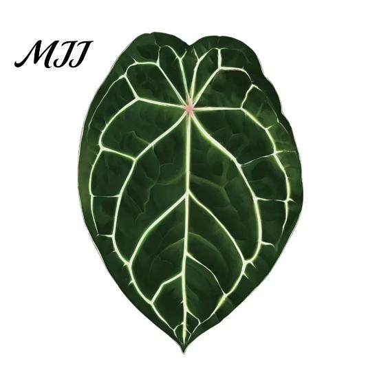 Plant Home Decor 3D Tropical Plants Refrigerator Magnet, Acrylic Green Decorative Fridge Metal Surface Magnet Memo Notes Photo Holder for Kitchen