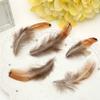 50Pcsdiy Jewelry Accessories Feather Diy Feather Headdress Corsage Hat Shoes Handicrafts Decorative Materials