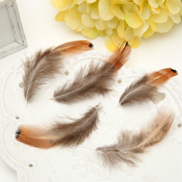 50Pcsdiy Jewelry Accessories Feather Diy Feather Headdress Corsage Hat Shoes Handicrafts Decorative Materials