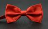 Bow Tie