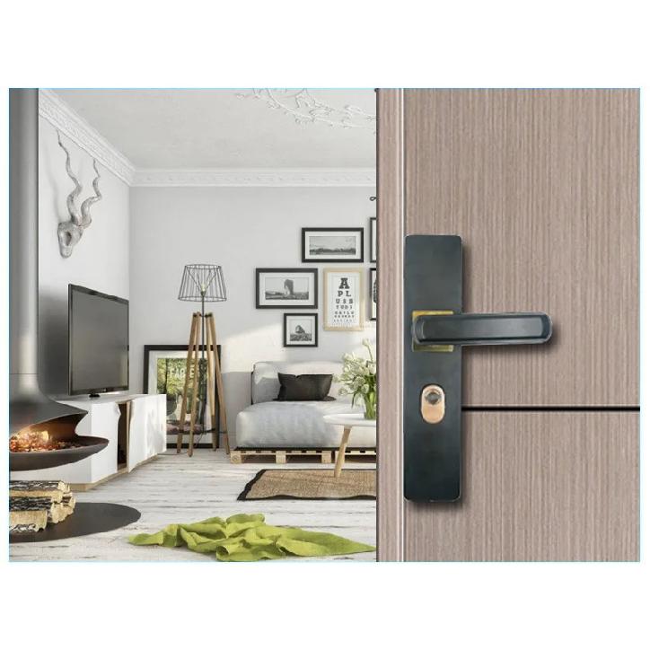Mechanical Lock Accessories Thickened Panel Room Door Handle Stainless Steel Anti-theft Door Lock