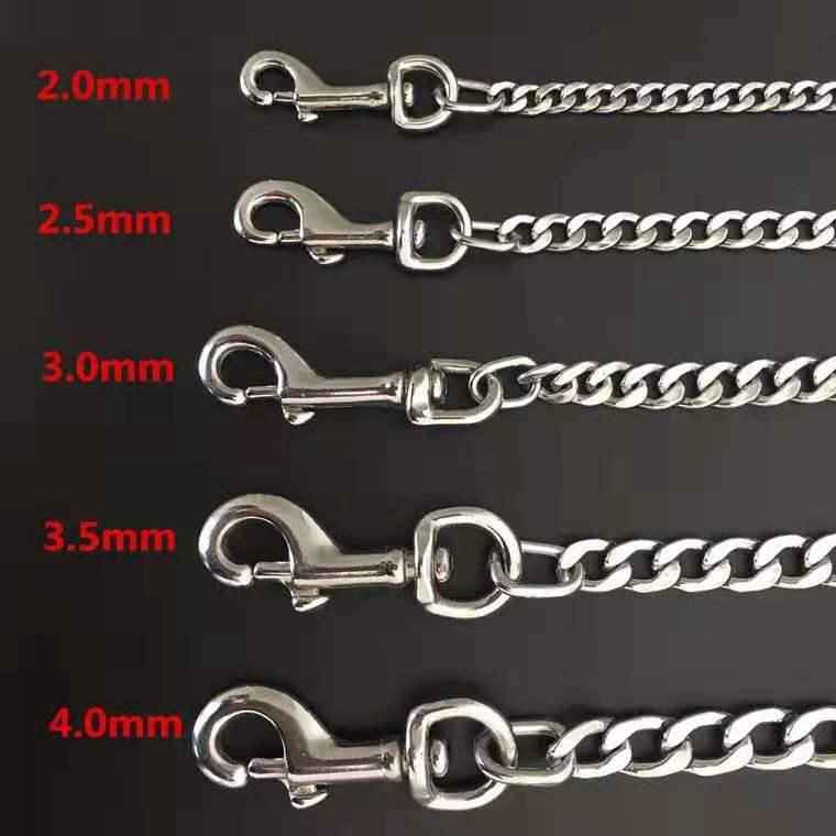 Anti-Bite 5m Iron Chain Dog Leash & Collar Set
