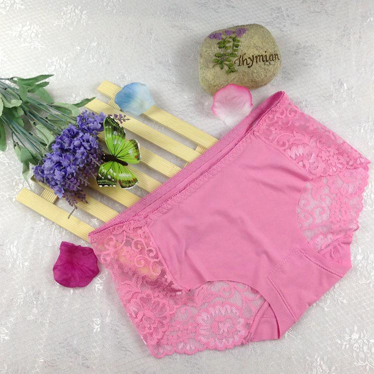 Sexy Hollow Lace Briefs EMA