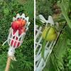 1/2pcs Fruit Picker Garden Hand Tool Plastic Catcher Picking Apple Bayberry Citrus Pear Peach Hand Tools Agriculture Accessories
