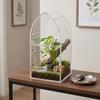 Anti-escape Acrylic Reptile Box Ventilated Reptile Feeding Box Spider Observation Box Lab Science