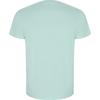 Roly Men's Golden Plain Short-Sleeved T-Shirt