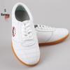 Unisex Tai Chi Martial Arts Shoes