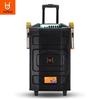 Beide Outdoor Portable Bluetooth Trolley Speaker with Dual Wireless Mics