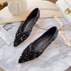 Women's Spring/Fall Pointed-Toe Flat Sequin Pumps, Light Color, Elegant, Plus Size, Soft Sole