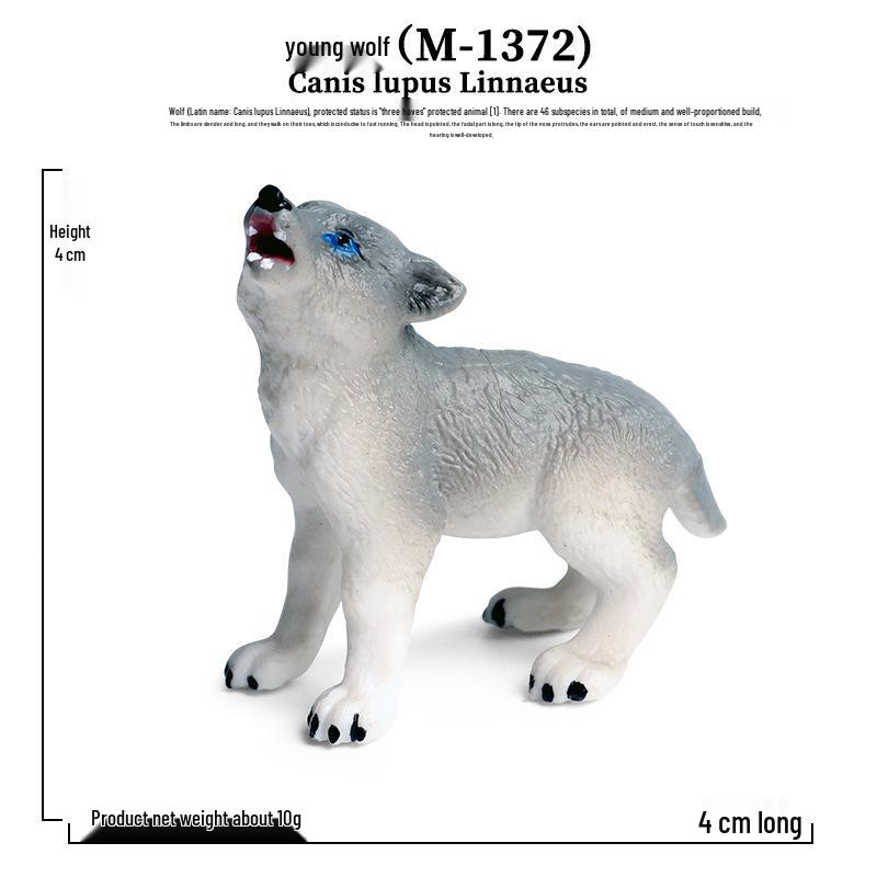 Children s Wildlife Simulation Toy Set: Snow Wolf, Gray Wolf, Black Wolf, White Wolf, Prairie Wolf Models.