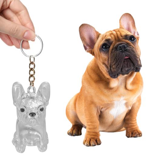 Dog Hair Collector Charm Keychain Transparent Pet Fur Keepsake Capsule Rabbit Memorial Pet Hair Collection Bottle Charm with Keyring Gift for Pet