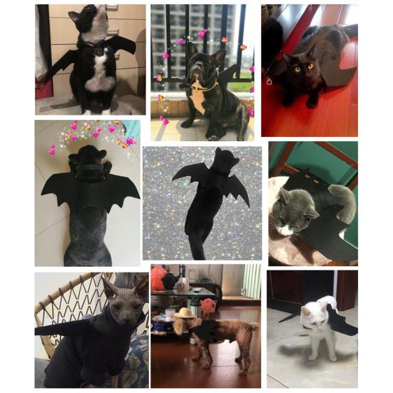 Bat Costume for Pet Bat Wings And Hat Cats Cosplay Costume Halloween Party Dress-up Accessories for Small Dogs Puppy Kitten