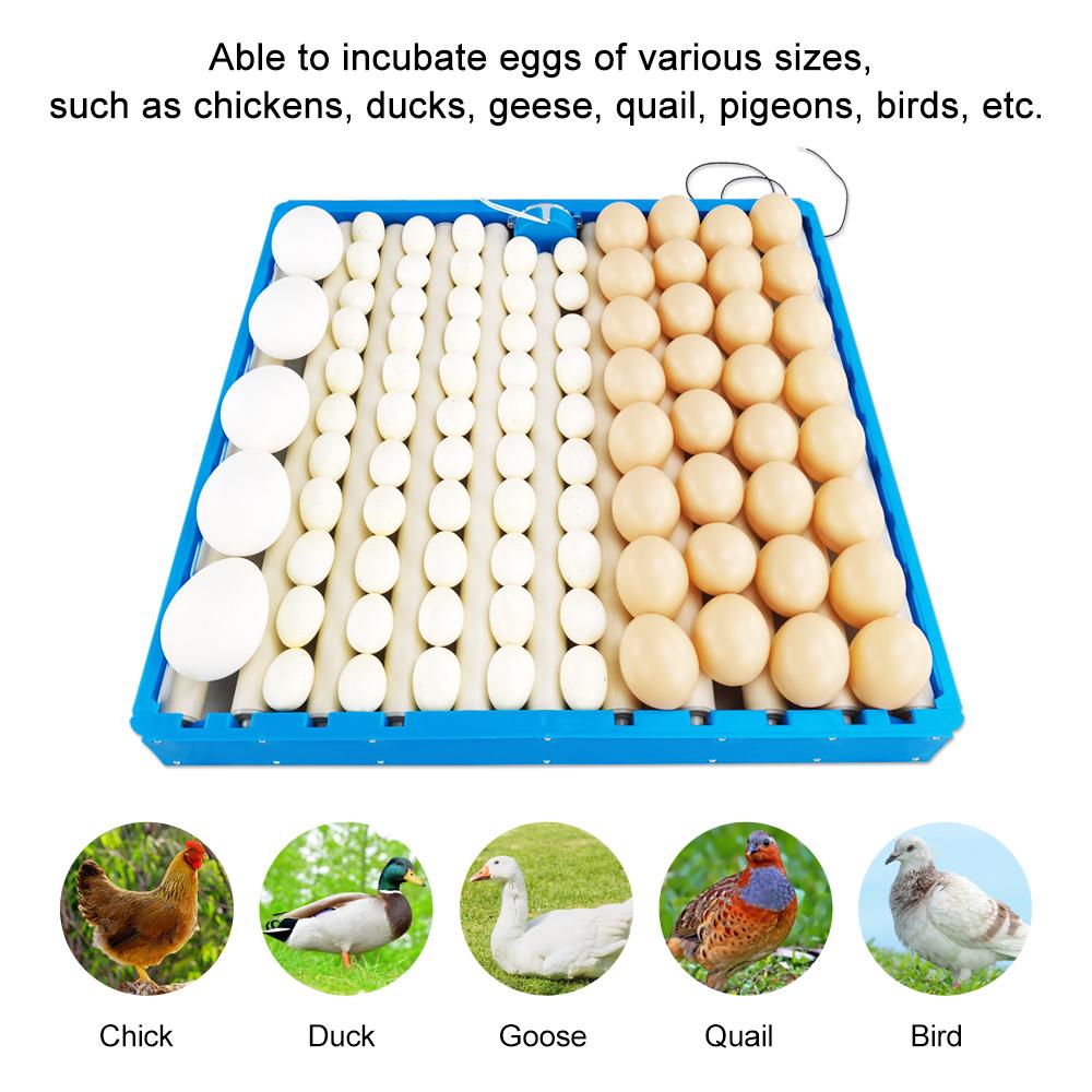 70 Eggs Incubator Automatic 360° Roller Incubation Egg Tray Poultry Hatching Turner for Chicken Duck Goose Quail 110V 220V