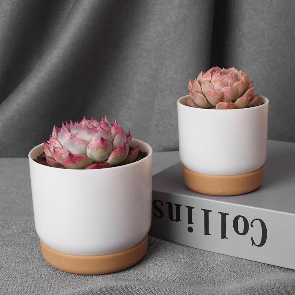 Świeża Dekoracja Okrągłego Stołu Automatyczne Wchłanianie Wody z Tacami Doniczka Sadzonka Kwiatów Doniczka na Sukulenty Artykuły Ogrodowe