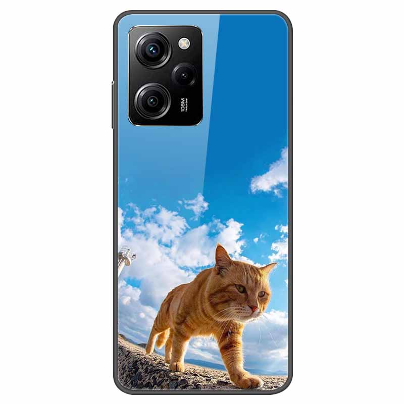 For Redmi Note 12 Pro Case Redmi Note12 5G Tempered Glass Hard Back Cover For Redmi Note 12 Pro Plus 5G Coque Starry Sky Case