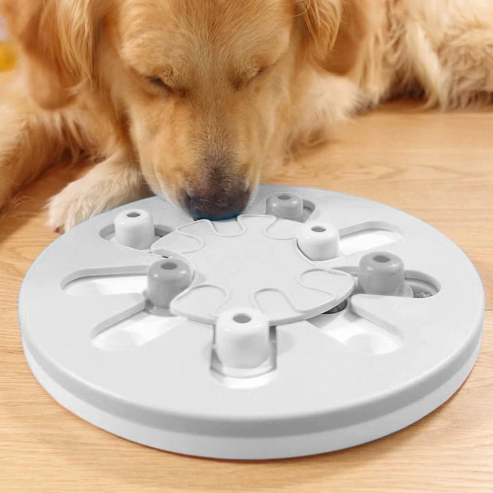 puzzle feeder dog