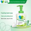 Antibacterial Foaming Hand Soap