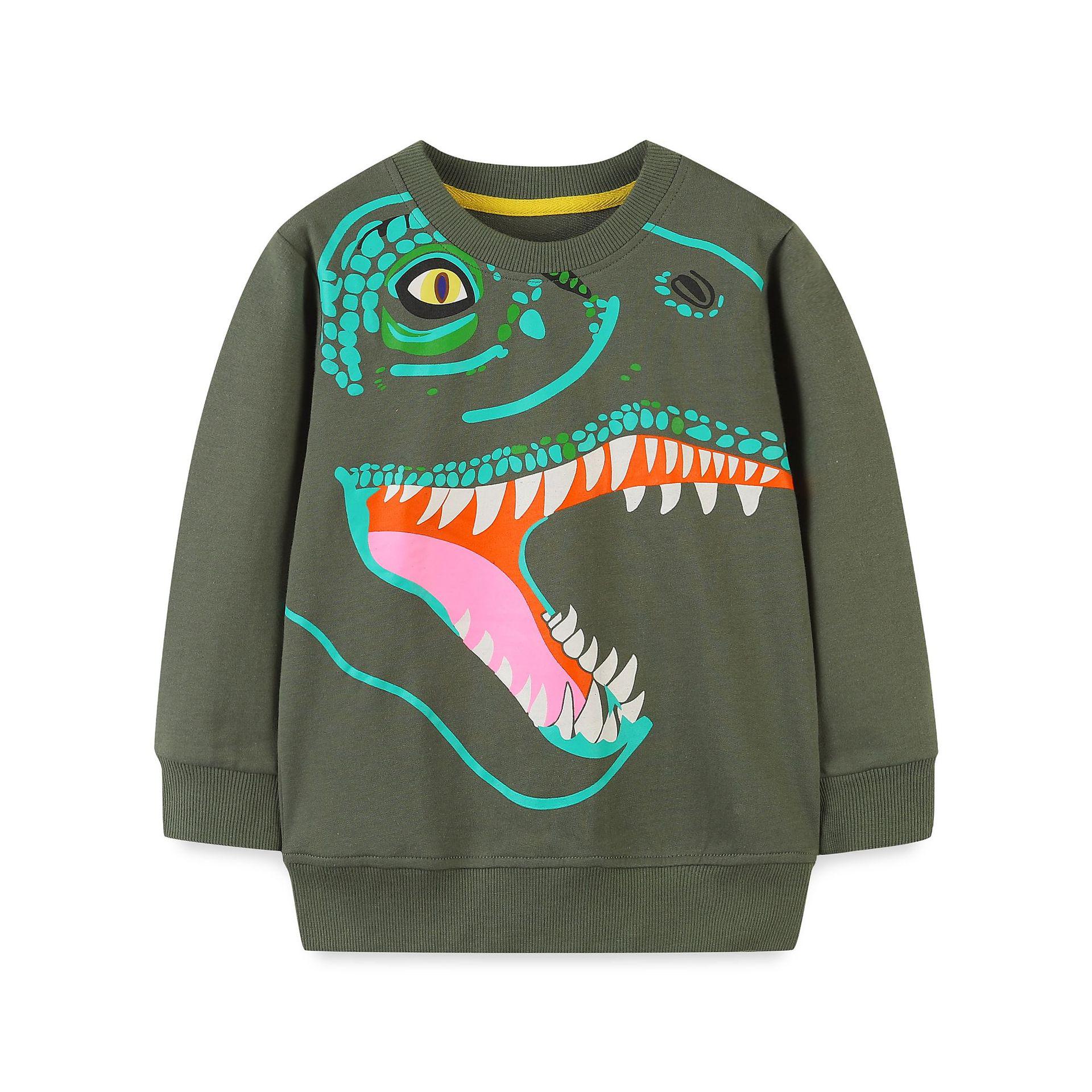 Autumn Kids  Dinosaur Print Hoodie – Long Sleeve Pullover, European  American Style Boys  Top 2Y