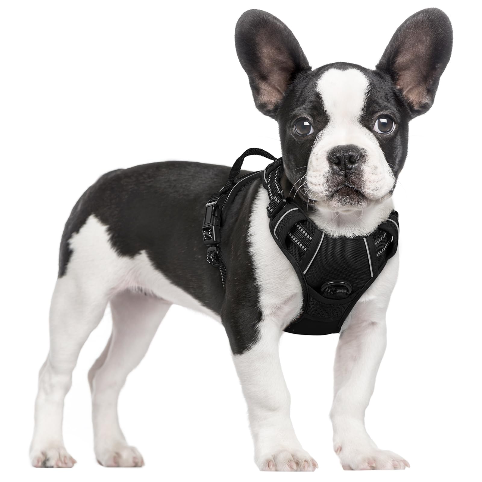 

Dog harness, anti-pull, pet harness, outdoor pet vest with 3M reflective strips, Oxford cloth material, suitable for small, medium and large dogs, Small чёрный