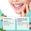 Fluoride free toothpaste 120g for bright teeth and fresh breath