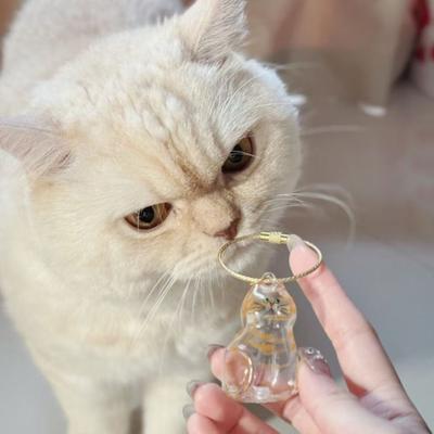 Katzenhaar Aufbewahrungsflasche Tragbares Haustier Gedenk Andenken Schlüsselanhänger Anhänger Haustier Gedenkgeschenk Klare Flasche zum Sammeln von Katzen- und Hundehaaren