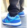 Nike Dunk Low Pro SB Fruity Pack - Blue Raspberry DM0807-400