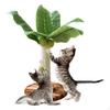 Arranhador para Amigos Felinos