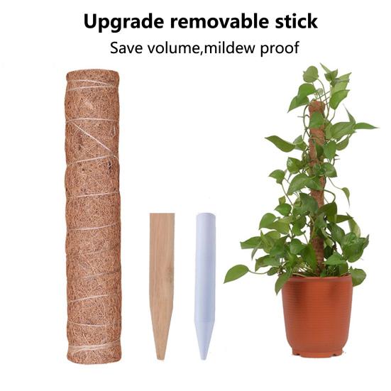 

1 комплект, съемный устойчивый столбик для мха, прочная конструкция, анти-деформация, хорошая поддержка, прочная поддержка горшечных растений ручной работы B 42cm