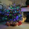 LED-Lampen 500l, warmweiß, Weihnachtsbaum, Feiertag, Innenbereich, Außenbereich, 3+25m