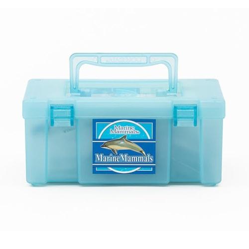 Calorata 3D Marine Creatures Encyclopedia (Whales, Dolphins, Sea Otters / 13 Species / Includes Instructions) Realistic Figures (Educational Toy) Birt