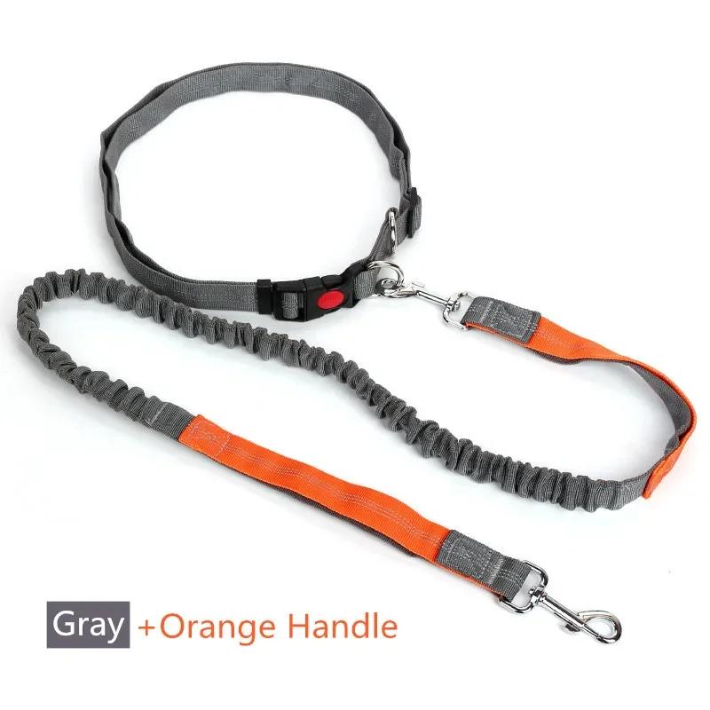 Retractable Dog Leash with Adjustable Size Rope, Free Hand, Running, Jogging, Cycling, Big Dogs, Pet Elasticity, Pet Supplies
