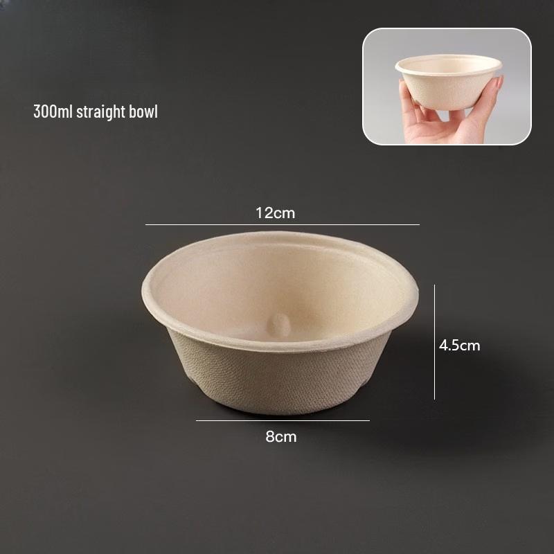 Disposable Pulp Takeaway Bowls