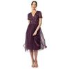 Deluxe Womens/Ladies Sequin Midi Dress