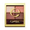 Excel Skinny Rich Eyeshadow SR11 Brick Brown