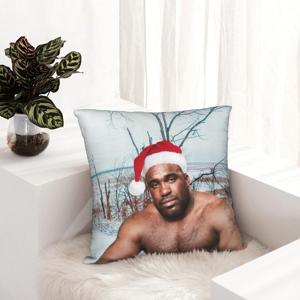 Decorative Pillow Cover Funny Barry Wood Meme Christmas Accessories Car Pillow Case Cover Zippered Multiple Sizes