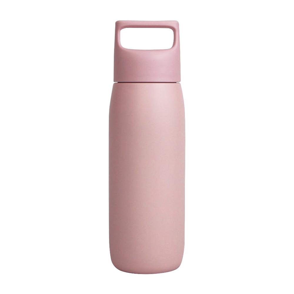 Maehata Stainless Steel Sports 450ml 52283 Bottle, (PK)