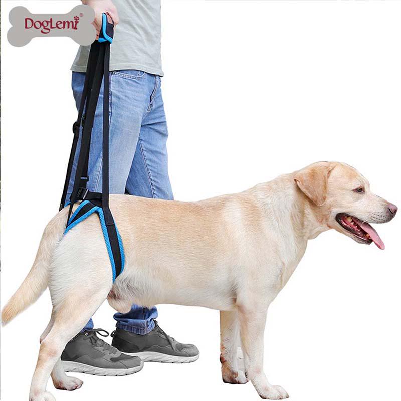 dog walking support sling