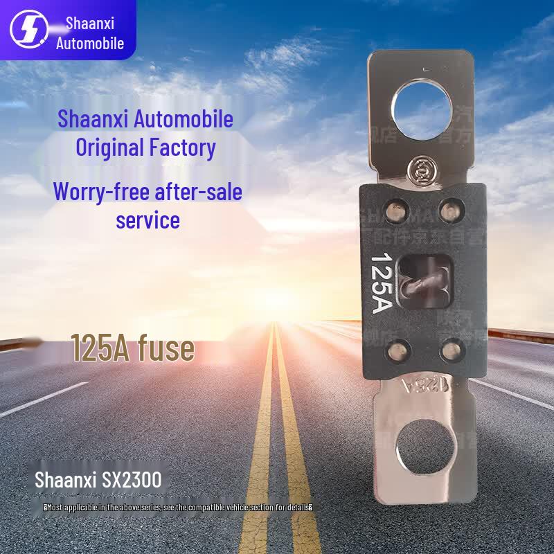 SHACMAN 125A SX2300 Vehicle Fuse